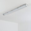 Ilena Plafonnier extérieur, Luminaire extérieur, Luminaire de salle de bain, Projecteur, Plafonnier LED Gris, 1 lumière