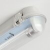 Ilena Plafonnier extérieur, Luminaire extérieur, Luminaire de salle de bain, Projecteur, Plafonnier LED Gris, 1 lumière