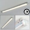 Ilena Plafonnier extérieur, Luminaire extérieur, Luminaire de salle de bain, Projecteur, Plafonnier LED Gris, 1 lumière