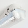 Ilena Plafonnier extérieur, Luminaire extérieur, Luminaire de salle de bain, Projecteur, Plafonnier LED Gris, 1 lumière