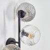 Ripoll Boule lumineuse, Applique murale Ambre, Clair, Fumé, 3 lumières
