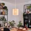 Desroches Suspension, Suspension Blanc, 1 lumière