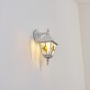 Naofe Lampe murale d´extérieur, Applique murale Blanc, 1 lumière