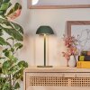 Laken Lampe de table d'extérieur, Luminaire de salle de bain, Lampe à poser LED Vert, 1 lumière