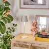 Salgadinho Lampe de table d'extérieur, Lampe à poser LED Blanc, 1 lumière
