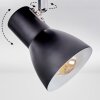 Farel Plafonnier, Spot de plafond Chrome, Noir, 3 lumières