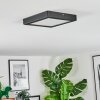 Isela Plafonnier LED Noir, 1 lumière