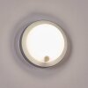 Jelad Lampe murale d´extérieur, Applique murale LED Argenté, 1 lumière, Détecteur de mouvement