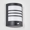 Heran Lampe murale d´extérieur, Applique murale LED Noir, 1 lumière, Détecteur de mouvement