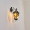 Hongkong Lampe murale d´extérieur, Applique murale Or, Noir, 1 lumière