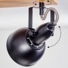 Hagan Plafonnier, Spot de plafond Chrome, Écru, Noir, 2 lumières