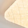 Loden Plafonnier LED Blanc, 1 lumière