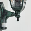 Naofe Lampe murale d´extérieur, Applique murale Vert, Noir, 1 lumière, Détecteur de mouvement