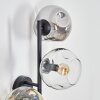 Ripoll Boule lumineuse, Applique murale Ambre, Clair, Fumé, 3 lumières