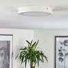 Plafonnier Finsrud LED Blanc, 1 lumière