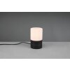 Lampe de table Trio-Leuchten Ary Noir, 1 lumière