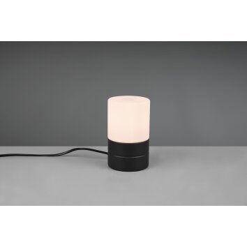 Lampe de table Trio-Leuchten Ary Noir, 1 lumière