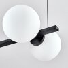 Suspension  Rascoupet Noir, 6 lumières