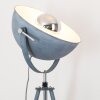 Lampadaire Maloy Gris, 1 lumière