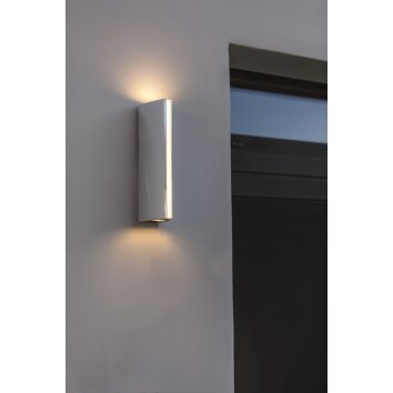 Applique murale d'extérieur Lutec Leo LED Chrome, 1 lumière