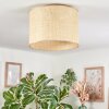 Sabadim Plafonnier beige, Écru, 1 lumière