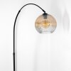 Ripoll Lampadaire, Lampadaires arc Noir, 1 lumière