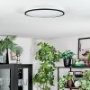 Onara Plafonnier, Panel LED Noir, Blanc, 1 lumière