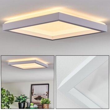 Xarel Plafonnier, Panel LED Blanc, 1 lumière