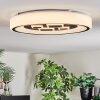Jalon Plafonnier, Panel LED Blanc, 1 lumière, Télécommandes