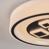 Jalon Plafonnier, Panel LED Blanc, 1 lumière, Télécommandes