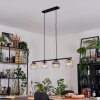 Koyoto Suspension, Boule lumineuse, Suspension Ambre, Clair, Fumé, 4 lumières