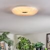 Luvan Plafonnier LED Blanc, 1 lumière