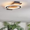 Lidor Plafonnier LED Noir, Argenté, 1 lumière