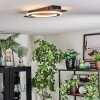 Lidor Plafonnier LED Noir, Argenté, 1 lumière