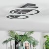 Lidor Plafonnier LED Noir, Argenté, 1 lumière
