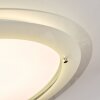 Ipres Plafonnier, Panel LED Argenté, Blanc, 1 lumière