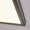 Isela Plafonnier, Panel LED Noir, 1 lumière