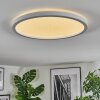 Xarel Plafonnier, Panel LED Blanc, 1 lumière