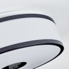 Elran Plafonnier LED Noir, Blanc, 1 lumière