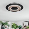 Lidor Plafonnier LED Noir, 1 lumière