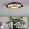 Lidor Plafonnier LED Noir, 1 lumière