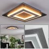 Lidor Plafonnier LED Noir, 1 lumière