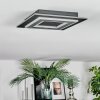 Lidor Plafonnier LED Noir, 1 lumière