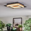 Lidor Plafonnier LED Noir, 1 lumière