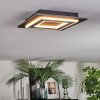 Lidor Plafonnier LED Noir, 1 lumière