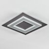 Lidor Plafonnier LED Noir, 1 lumière