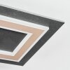 Lidor Plafonnier LED Noir, 1 lumière