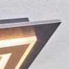 Lidor Plafonnier LED Noir, 1 lumière