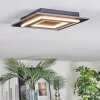 Lidor Plafonnier LED Noir, 1 lumière