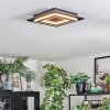 Lidor Plafonnier LED Noir, 1 lumière